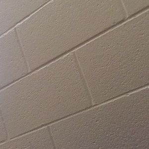 Meet your Posher, Timothy